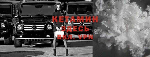 индика Дмитриев