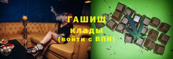 индика Дмитриев