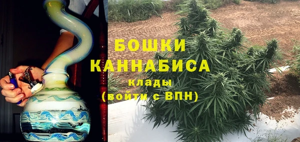 ГАЛЛЮЦИНОГЕННЫЕ ГРИБЫ Дмитров