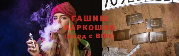 стаф Ельня