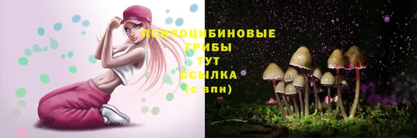 индика Дмитриев