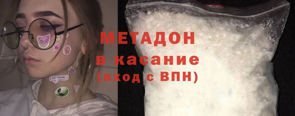 индика Дмитриев