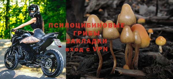 стаф Ельня