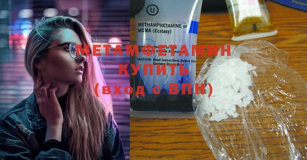 индика Дмитриев