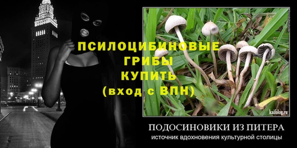 ГАЛЛЮЦИНОГЕННЫЕ ГРИБЫ Дмитров