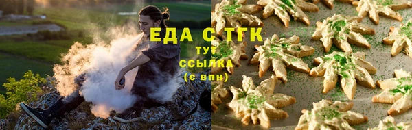 индика Дмитриев