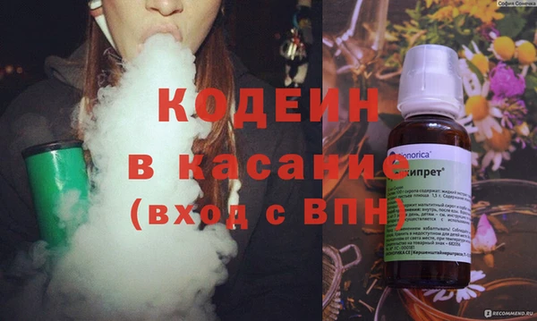 стаф Ельня