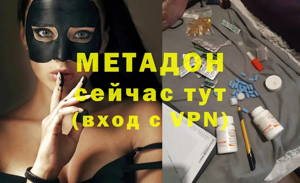 индика Дмитриев