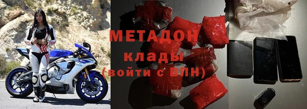 индика Дмитриев