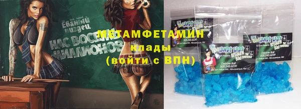 индика Дмитриев