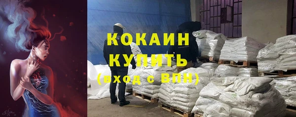 стаф Ельня