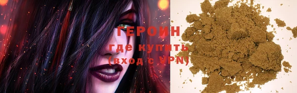 индика Дмитриев