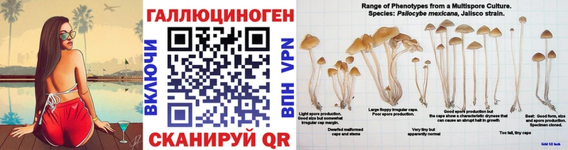 Галлюциногенные грибы прущие грибы  Купить закладки  Козьмодемьянск 